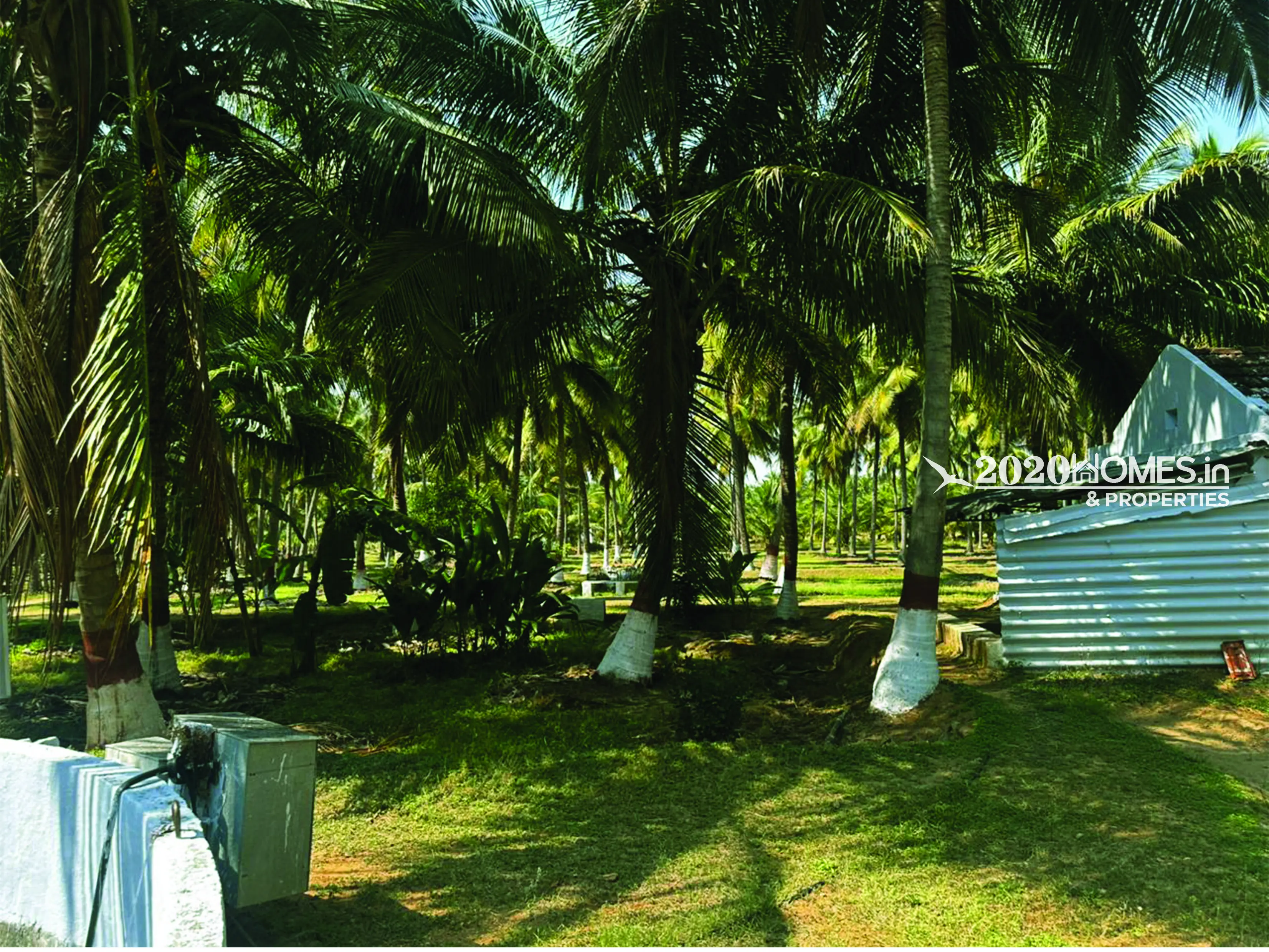 Pollachi AngalaKurichi Form